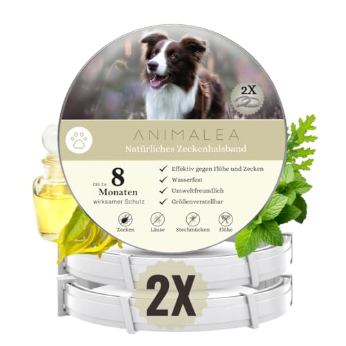 Animalea® Zeckenhalsband für Hunde (2 Stück) - Länge 62cm - wirksamer Schutz gegen Zecken und Flöhe - wasserfest und größenverstellbar bis zu 8 Monaten Zeckenschutz mit 100% natürlichen Inhaltsstoffen von Animalea