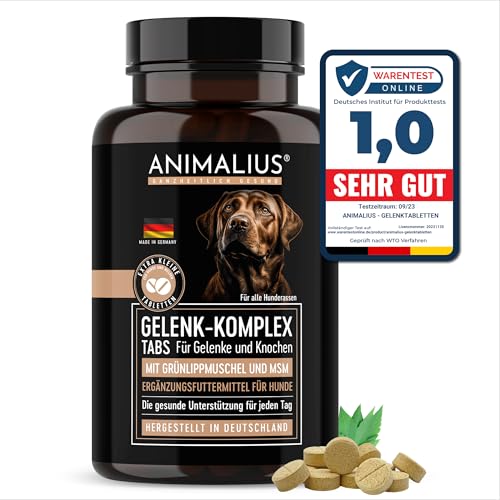 Animalius® Gelenktabletten für Hunde extra klein [FÜR ALLE Hunderassen] - mit Grünlippmuschel, MSM & Teufelskralle - getestete Hunde-Tabletten für Normale Knochen und Gelenke - 120 Stück [vorbeugend] von Animalius