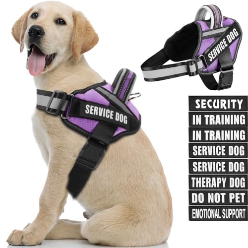 Hundegeschirr und Patches Set, Animire im Trainingsservice Hundegeschirr mit 10 Hundeflicken, Reflektierende Hundeweste mit Griff für kleine, mittelgroße und extra große Hunde Hundegeschirr und Patches Set, Animire im Trainingsservice Hundegeschirr mit 10 Hundeflicken, Reflektierende Hundeweste mit Griff für kleine, mittelgroße und extra große Hunde von Animire