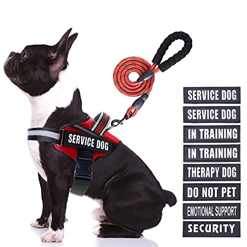 Service Dog Hundegeschirr, Geschirr und Leine, Animire in Trainings-Hundegeschirr mit 10 Hunde-Patches, reflektierende Hundeleine mit weich gepolstertem Griff für kleine, mittelgroße und große Hunde Service Dog Hundegeschirr, Geschirr und Leine, Animire in Trainings-Hundegeschirr mit 10 Hunde-Patches, reflektierende Hundeleine mit weich gepolstertem Griff für kleine, mittelgroße und große Hunde von Animire
