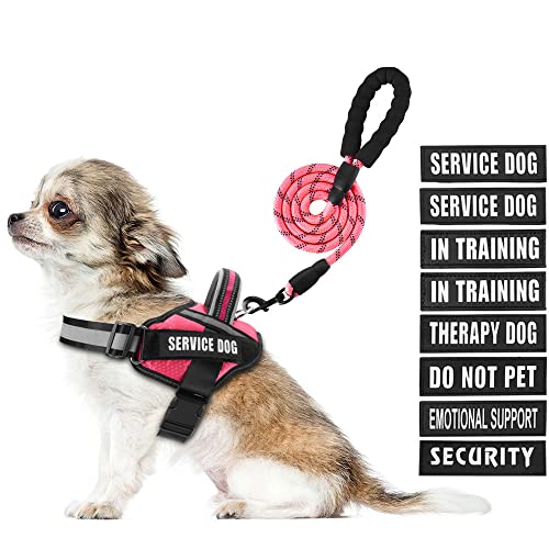 Service Dog Hundegeschirr, Geschirr und Leine, Animire in Trainings-Hundegeschirr mit 10 Hundeflicken, reflektierende Hundeleine mit weich gepolstertem Griff für kleine, mittelgroße, große und extra Service Dog Hundegeschirr, Geschirr und Leine, Animire in Trainings-Hundegeschirr mit 10 Hundeflicken, reflektierende Hundeleine mit weich gepolstertem Griff für kleine, mittelgroße, große und extra von Animire