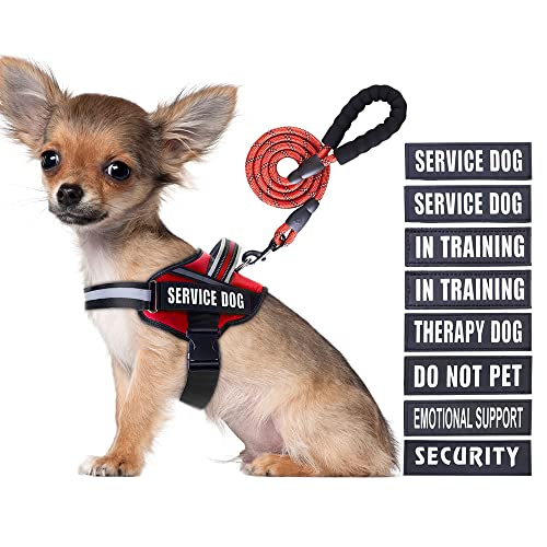 Service Dog Hundegeschirr, Geschirr und Leine, Animire in Trainings-Hundegeschirr mit 8 Hunde-Patches, reflektierende Hundeleine mit weich gepolstertem Griff für kleine, mittelgroße, große und extra Service Dog Hundegeschirr, Geschirr und Leine, Animire in Trainings-Hundegeschirr mit 8 Hunde-Patches, reflektierende Hundeleine mit weich gepolstertem Griff für kleine, mittelgroße, große und extra von Animire