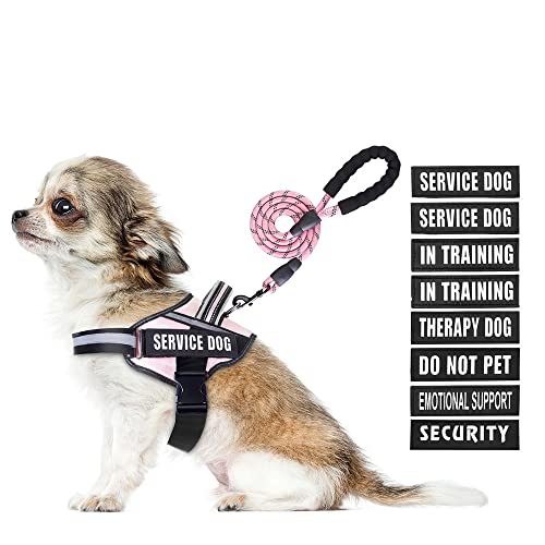 Service Dog Vest Harness and Leash Set, Animire in Training, Hundegeschirr mit 10 Hundeflicken, reflektierende Hundeleine mit weich gepolstertem Griff für kleine, mittelgroße, große und extra große von Animire