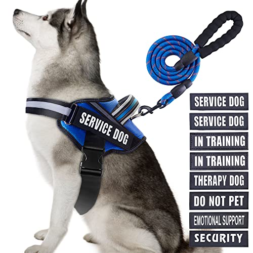 Service Dog Vest Harness and Leash Set, Animire in Training, Hundegeschirr mit 8 Hundeflicken, reflektierende Hundeleine mit Griff für kleine, mittelgroße, große und extra große Hunde (Blau, XL) von Animire
