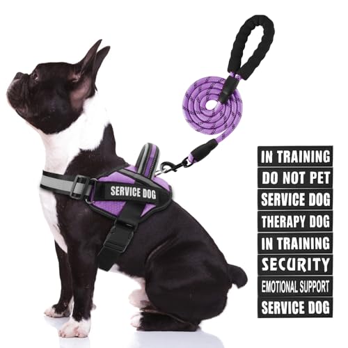 Service Dog Vest Harness and Leash Set, Animire in Training, Hundegeschirr mit 10 Hundeflicken, reflektierende Hundeleine mit weich gepolstertem Griff für kleine, mittelgroße und große Hunde (Lila, M) von Animire
