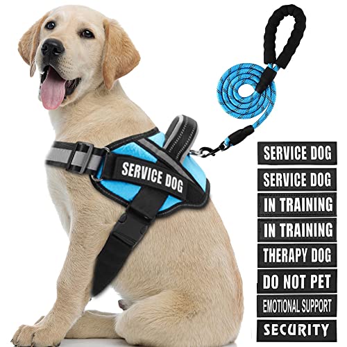 Service Dog Vest Harness and Leash Set, Animire in Training, Hundegeschirr mit 10 Hundeflicken, reflektierende Hundeleine mit weich gepolstertem Griff für Hunde (Hellblau, L) von Animire