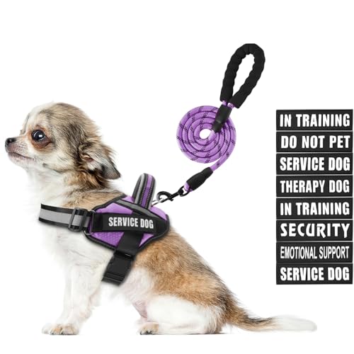 Service Dog Vest Harness and Leash Set, Animire in Training Dog Harness with 8 Dog Patches, Reflective Dog Leash with Soft Padded Handle for Small, Medium, Large, and Extra Large Dogs (Purple, XS) von Animire