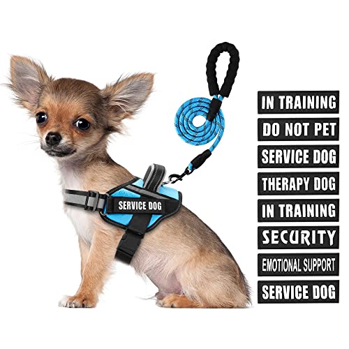 Service Dog Vest Harness and Leash Set, Animire in Training Dog Harness with 8 Dog Patches, Reflective Dog Leash with Soft Padded Handle for Small, Medium, Large and Extra Large Dogs (Light Blue, S) von Animire