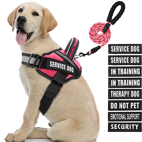 Service Dog Vest Harness and Leash Set, Animire in Training Dog Harness with 8 Dog Patches, Reflective Dog Leash with Soft Padded Handle for Small, Medium, Large and Extra Large Dogs (Rosy,L) von Animire