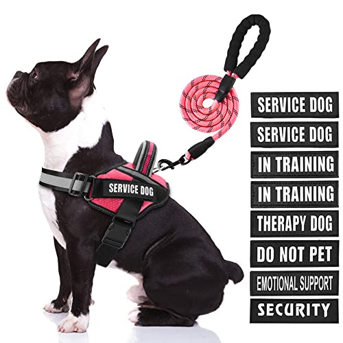 Service Dog Vest Harness and Leash Set, Animire in Training Dog Harness with 8 Dog Patches, Reflective Dog Leash with Soft Padded Handle for Small, Medium, Large and Extra Large Dogs (Rosy,M) von Animire