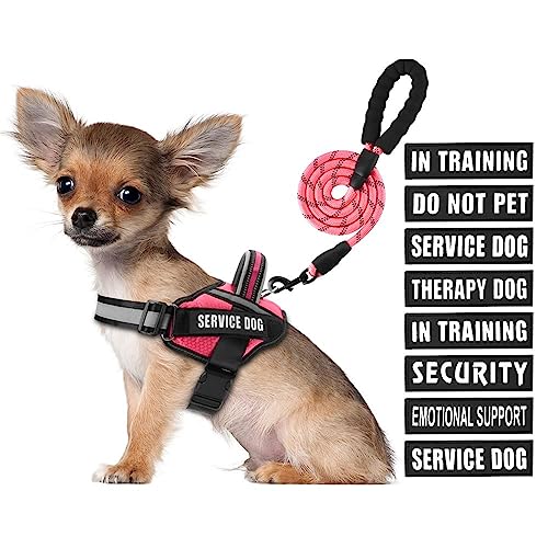 Service Dog Vest Harness and Leash Set, Animire in Training Dog Harness with 8 Dog Patches, Reflective Dog Leash with Soft Padded Handle for Small, Medium, Large and Extra Large Dogs (Rosy,S) von Animire
