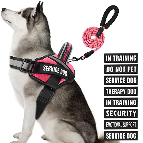 Service Dog Vest Harness and Leash Set, Animire in Training Dog Harness with 8 Dog Patches, Reflective Dog Leash with Soft Padded Handle for Small, Medium, Large and Extra Large Dogs (Rosy,XL) von Animire