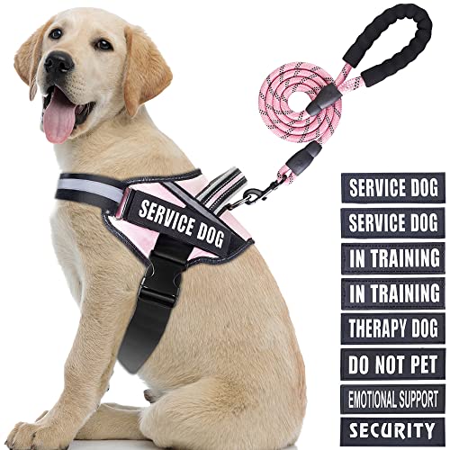 Service Dog Vest Harness and Leash Set, Animire in Training, Hundegeschirr mit 10 Hundeflicken, reflektierende Hundeleine mit weich gepolstertem Griff für kleine, mittelgroße und große Hunde (Rosa, L) von Animire
