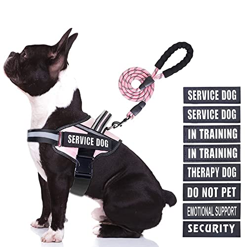 Service Dog Vest Harness and Leash Set, Animire in Training, Hundegeschirr mit 10 Hundeflicken, reflektierende Hundeleine mit weich gepolstertem Griff für kleine, mittelgroße und große Hunde (Rosa, M) von Animire