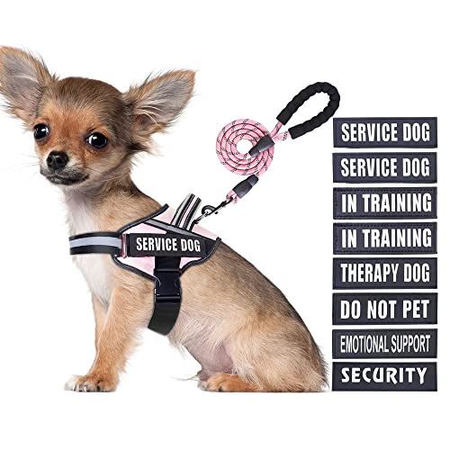 Service Dog Vest Harness and Leash Set, Animire in Training Dog Harness with 8 Dog Patches, Reflective Dog Leash with Soft Padded Handle for Small Medium Large and Extra Large Dogs(Pink, S) von Animire