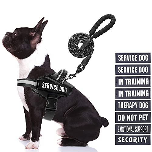 Service Dog Vest Harness and Leash Set, Animire in Training Dog Harness with 8 Dog Patches, Reflective Dog Leash with Soft Padded Handle for Small Medium Large and Extra Large Dogs (Black, M) von Animire