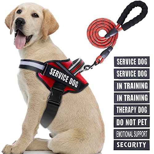 Service Dog Vest Harness and Leash Set, Animire in Training Dog Harness with 8 Dog Patches, Reflective Dog Leash with Soft Padded Handle for Small Medium Large and Extra Large Dogs (Red, L) von Animire