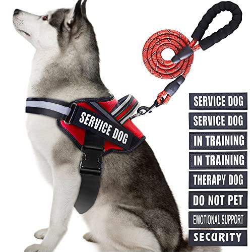 Service Dog Hundegeschirr, Geschirr und Leine, Animire in Trainings-Hundegeschirr mit 10 Hunde-Patches, reflektierende Hundeleine mit weich gepolstertem Griff für kleine, mittelgroße und große Hunde von Animire