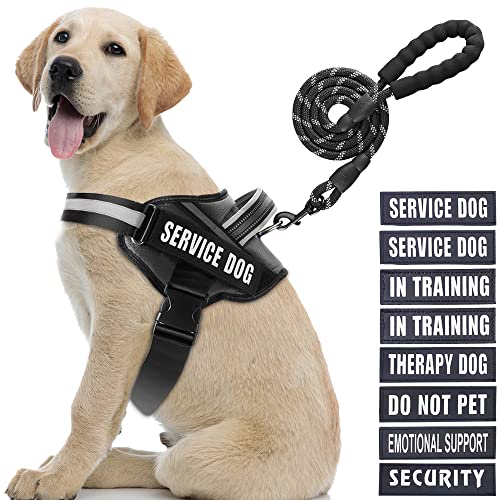 Service Dog Vest Harness and Leash Set, Animire in Training Dog Harness with 8 Dog Patches, Reflective Dog Leash with Soft Padded Handle for Small Medium Large and Extra Large Dogs (Schwarz, L) von Animire