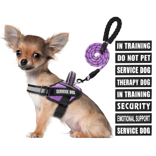 Service Dog Vest Harness and Leash Set, Animire in Training, Hundegeschirr mit 10 Hundeflicken, reflektierende Hundeleine mit weich gepolstertem Griff für kleine, mittelgroße und große Hunde (Lila, S) von Animire