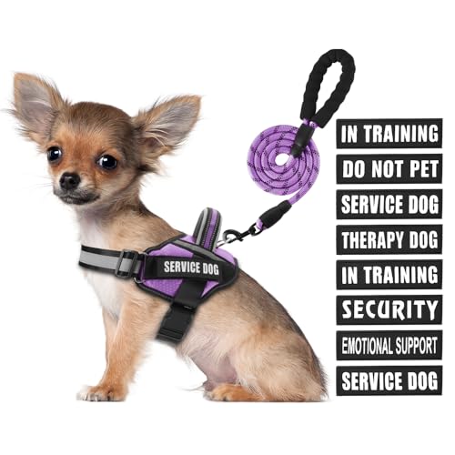 Service Dog Vest Harness and Leash Set, Animire in Training Dog Harness with 9 Dog Patches, Reflective Dog Leash with Soft Padded Handle for Small, Medium, Large and Extra Large Dogs (Purple, S) von Animire