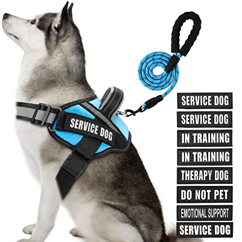 Service Dog Vest Harness and Leash Set, Animire in Training, Hundegeschirr mit 10 Hundeflicken, reflektierende Hundeleine mit weich gepolstertem Griff für kleine, mittelgroße und große Hunde von Animire