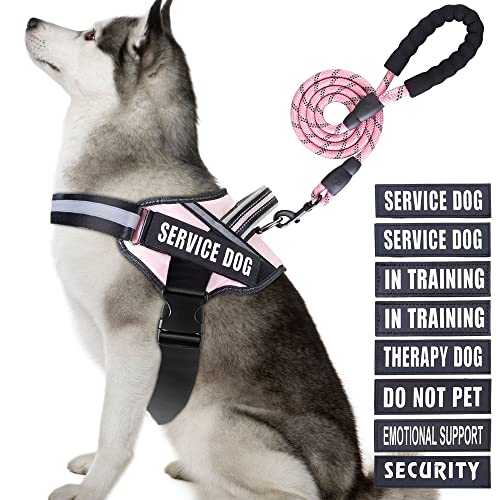 Service Dog Vest Harness and Leash Set, Animire in Trainings-Hundegeschirr mit 10 Hunde-Patches, reflektierende Hundeleine mit weich gepolstertem Griff für kleine, mittelgroße, große und extra große Service Dog Vest Harness and Leash Set, Animire in Trainings-Hundegeschirr mit 10 Hunde-Patches, reflektierende Hundeleine mit weich gepolstertem Griff für kleine, mittelgroße, große und extra große von Animire