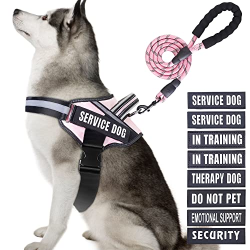 Service Dog Vest Harness and Leash Set, Animire in Trainings-Hundegeschirr mit 10 Hunde-Patches, reflektierende Hundeleine mit weich gepolstertem Griff für kleine, mittelgroße, große und extra große von Animire