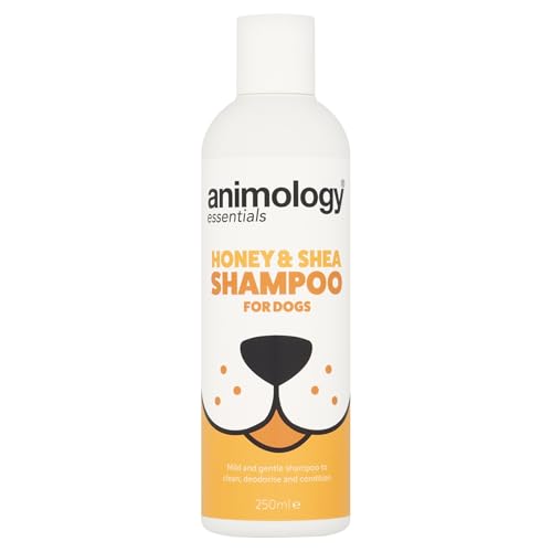 Animology Essentials Honey & Shea Deodorierendes Hundeshampoo, 250 ml Animology Essentials Honey & Shea Deodorierendes Hundeshampoo, 250 ml von Animology