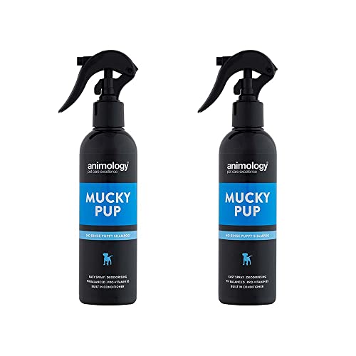 Animology Mucky Pup Shampoo - No-Rinse Dry Shampoo für Hunde - 250ml Welpenshampoo - entfernt Schmutz und schlechte Gerüche - Erhält die Gesundheit, Kraft und den Zustand des Fells Ihres Hundes 2er Pack von Animology