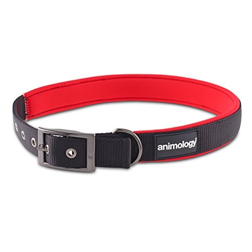 Animology Neopren Gepolsterte Nylon Hundehalsband, langlebig, extra groß, rot Animology Neopren Gepolsterte Nylon Hundehalsband, langlebig, extra groß, rot von Animology