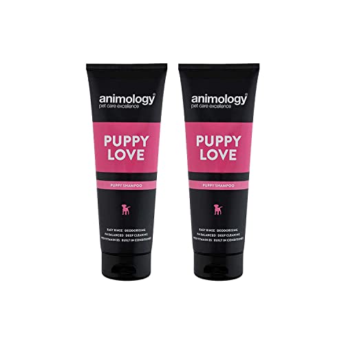Animology Puppy Love Shampoo | Für gesunde Welpenmantel | Einfach ausspülende Formel | Ausgewogener pH- und Tiefenreinigungseffekt für empfindliche Haut | Eingebauter Conditioner | 250 ml 2 Pack von Animology