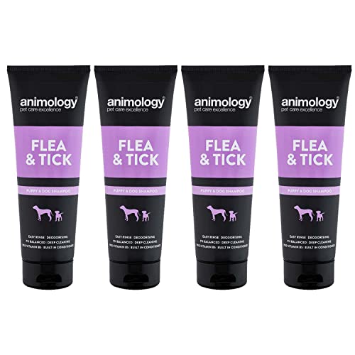 Flea and Tick Dog Shampoo 250ml 4 Pack von Animology