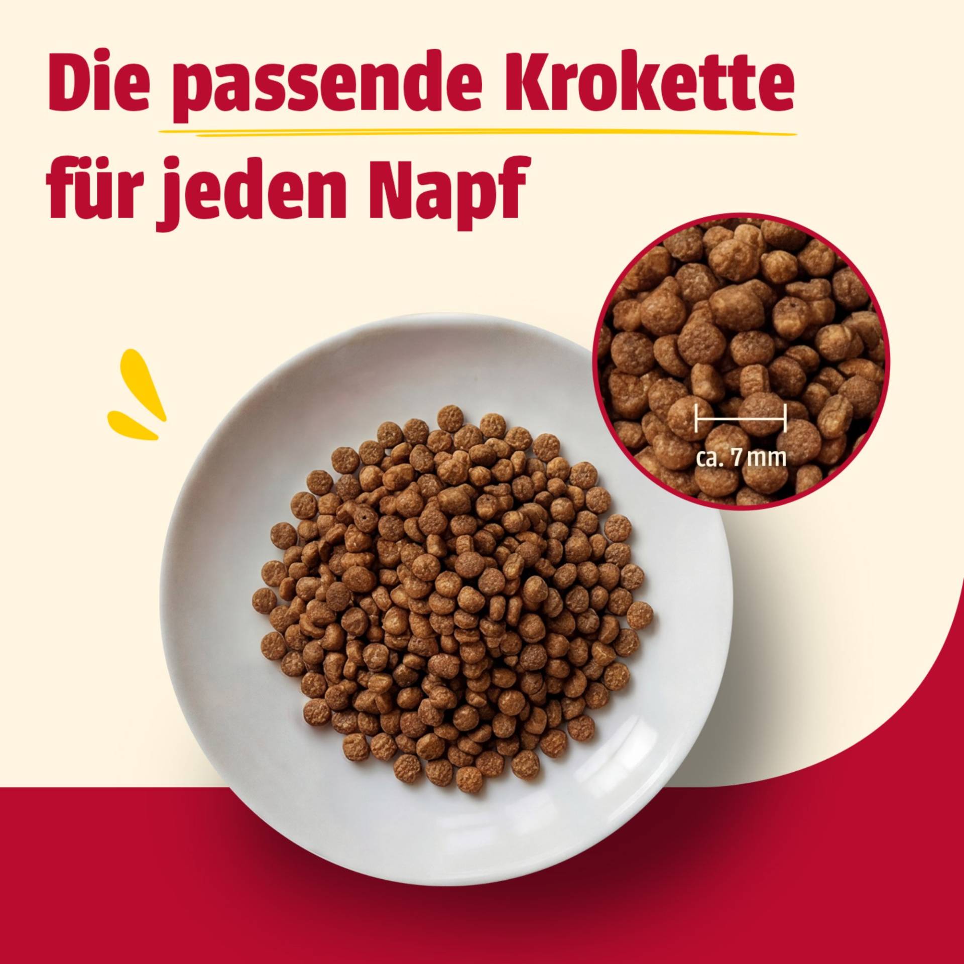 animonda Carny Kitten Huhn - 350 g animonda Carny Kitten Huhn - 350 g von Animonda Carny