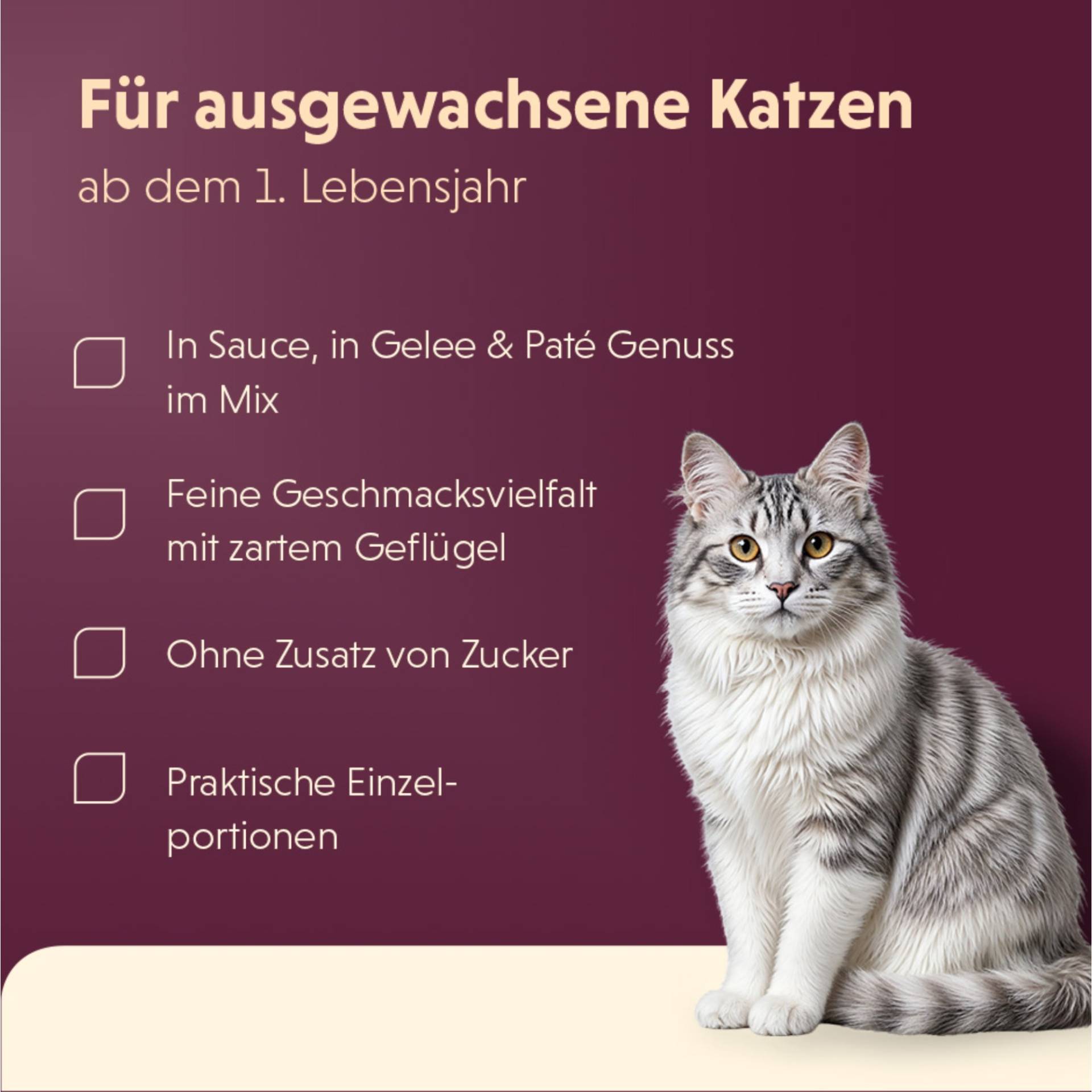 12 + 12 gratis! 24 x 85 g Animonda Vom Feinsten - Kitten in Soße: Huhn & Kalb 12 + 12 gratis! 24 x 85 g Animonda Vom Feinsten - Kitten in Soße: Huhn & Kalb von Animonda Vom Feinsten