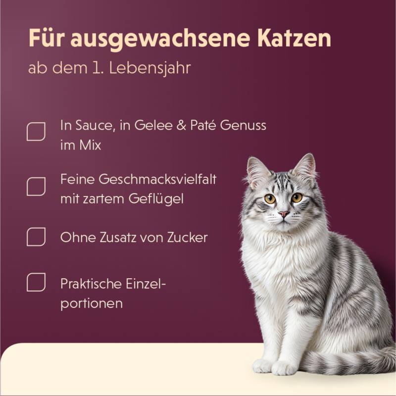 12 + 12 gratis! 24 x 85 g Animonda Vom Feinsten - Kitten in Soße: Huhn & Kalb 12 + 12 gratis! 24 x 85 g Animonda Vom Feinsten - Kitten in Soße: Huhn & Kalb von Animonda Vom Feinsten