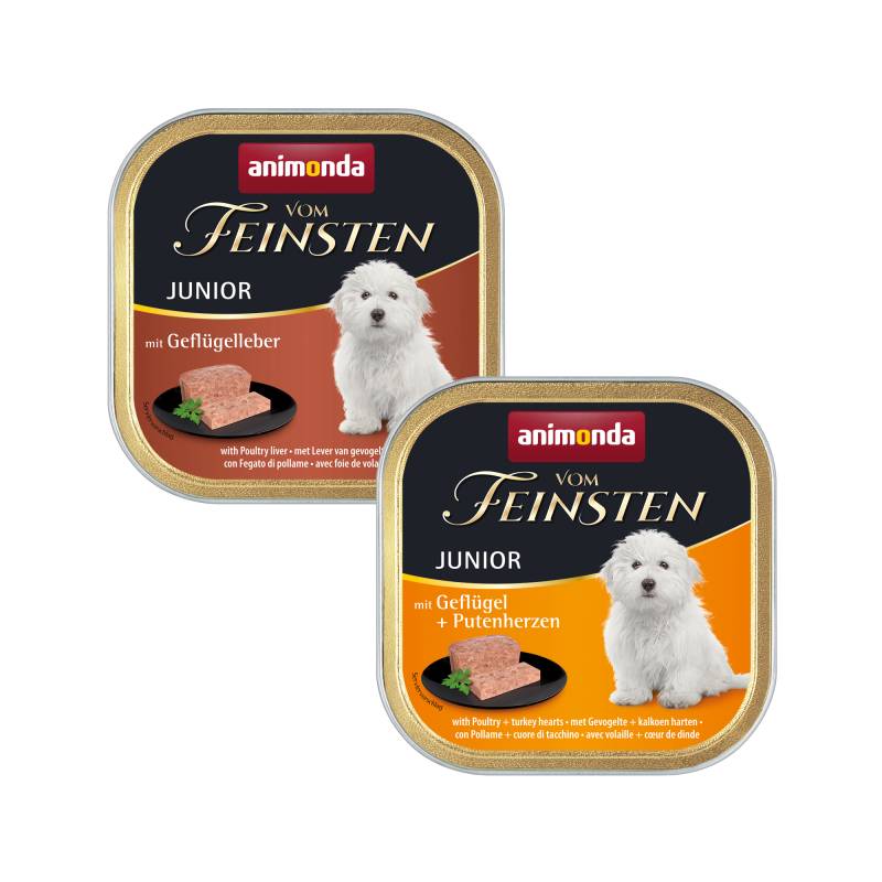 Animonda vom Feinsten Junior Hundefutter - Schälchen - Geflügel/Putenherzen - 22 x 150 g von Animonda