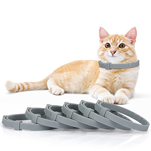Anipaw Beruhigendes Halsband für Katzen, beruhigendes Halsband, entspannendes Katzen-Pheromon-Halsband, verstellbar, für kleine, mittelgroße und große Katzen, Pinkeln, lindert Angst und Stress (grau) von Anipaw