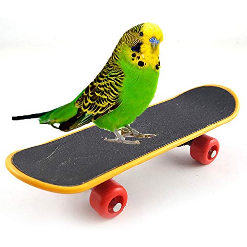 Anjing Bird Papageien Intelligenz Spielzeug Mini Training Skateboard für Papageien Wellensittiche Sittiche Nymphensittiche kleine und mittelgroße Vögel Lustiges Sitzstangen-Spielzeug von Anjing