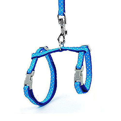 Anjing Haustier-Geschirr und Leine, gepunktet, Brustgurt, verstellbar, ausbruchsicher, für Spaziergänge geeignet, Blau von Anjing