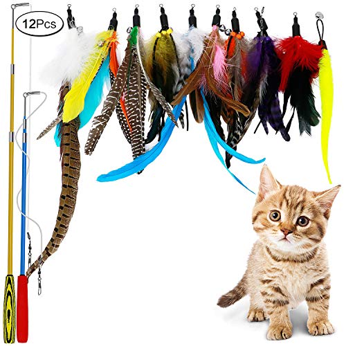 Anjing Interaktives Katzenspielzeug mit Federn, einziehbar, mit Stangen, Wurm, Vögel, Federn, 12 Stück von Anjing