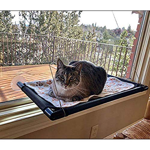 Anjing Katzen-Hängematte, Fenster, Sitzstange, Sitzstange, für große Katzen, Sitzstangen von Anjing