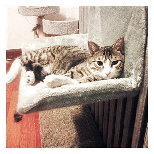 Anjing Katzenbett mit Pfotenabdruckmotiv, Kunstfell, Leopardenmuster Anjing Katzenbett mit Pfotenabdruckmotiv, Kunstfell, Leopardenmuster von Anjing