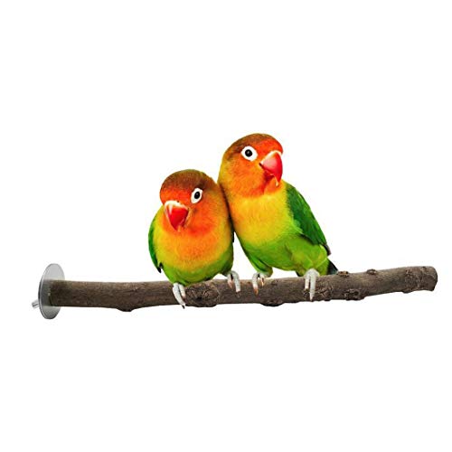 Anjing Vogelkäfig-Ständer aus Holz für Papageien und Papageien von Anjing