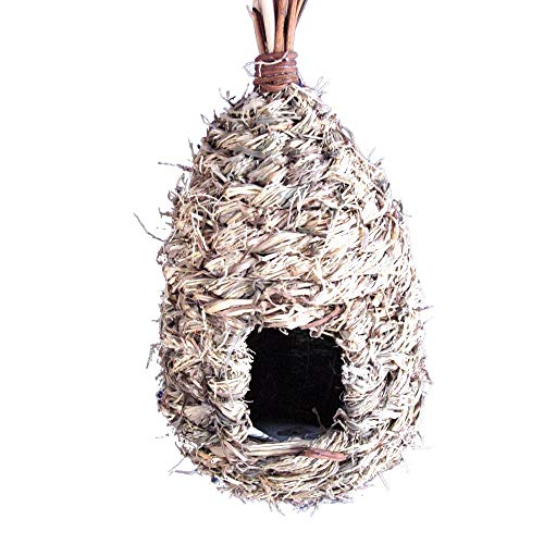Natürliches Schilfrohr mit hohem Dach, perfekt für eine Vielzahl von Arten von Rotkehlchenfinken. von Anjing