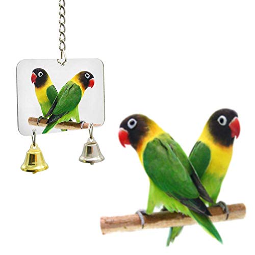 Vogel Papagei Glocke Spiegel Spielzeug Hängende Schaukel Käfig für Sittich Ara Kakadu Spielzeug von Anjing
