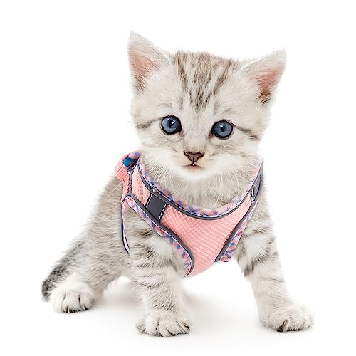 Ankilo Katzengeschirr, kleine Hunde, Leine gegen Ausweichen, Rosa Ankilo Katzengeschirr, kleine Hunde, Leine gegen Ausweichen, Rosa von Ankilo