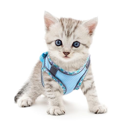 Ankilo Katzengeschirr mit Leine, bruchsicher, Leine für Cha T mit verstellbarem Geschirr, Blau von Ankilo