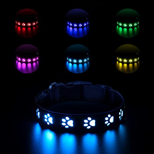 Ankilo LED Leuchthalsband Hund,Leuchthalsband für Hunde Aufladbar,Hundehalsband Leuchtend Halsband für Hunde Einstellbare Größe Sicherheit,7 Farbwechsel Halsband Hund Helle Sicherheit,S Ankilo LED Leuchthalsband Hund,Leuchthalsband für Hunde Aufladbar,Hundehalsband Leuchtend Halsband für Hunde Einstellbare Größe Sicherheit,7 Farbwechsel Halsband Hund Helle Sicherheit,S von Ankilo