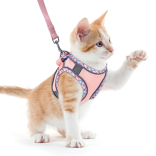 Ankilo katzengeschirr mit Leine ausbruchsicher Ankilo katzengeschirr mit Leine ausbruchsicher von Ankilo